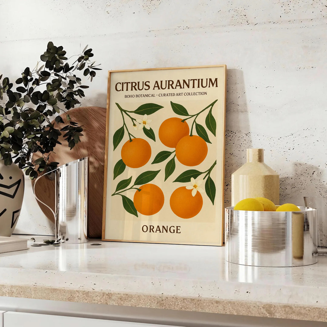 Vintage illustration of Citrus Aurantium with green leaves and orange fruit