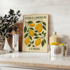 Citrus limonum botanical poster in vintage style with green and gray