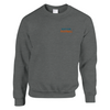 Printed sweater featuring an embroidered New York football design