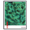 Affiche Flow de Yayoi Kusama marron et vert design abstrait contemporain