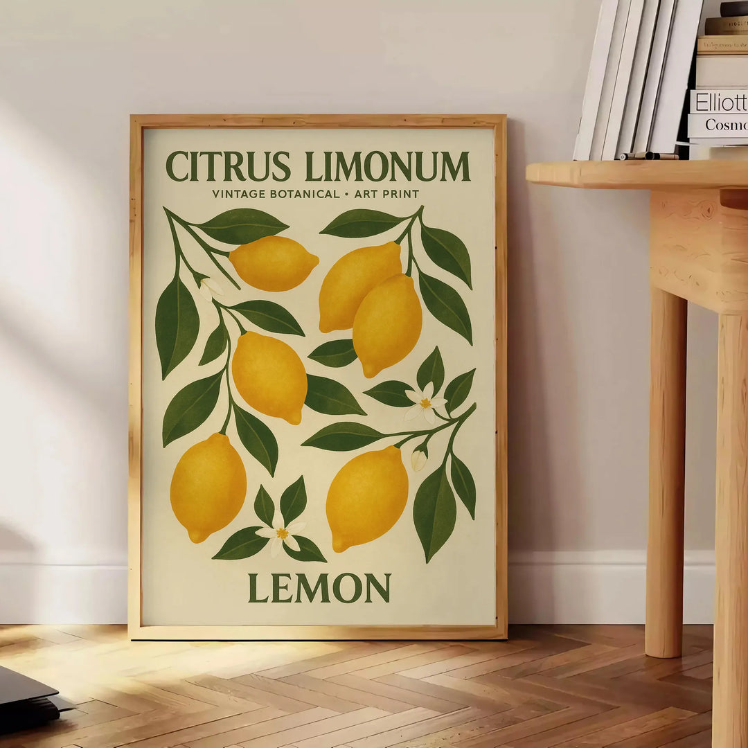 Citrus limonum botanical poster in vintage style with green and gray
