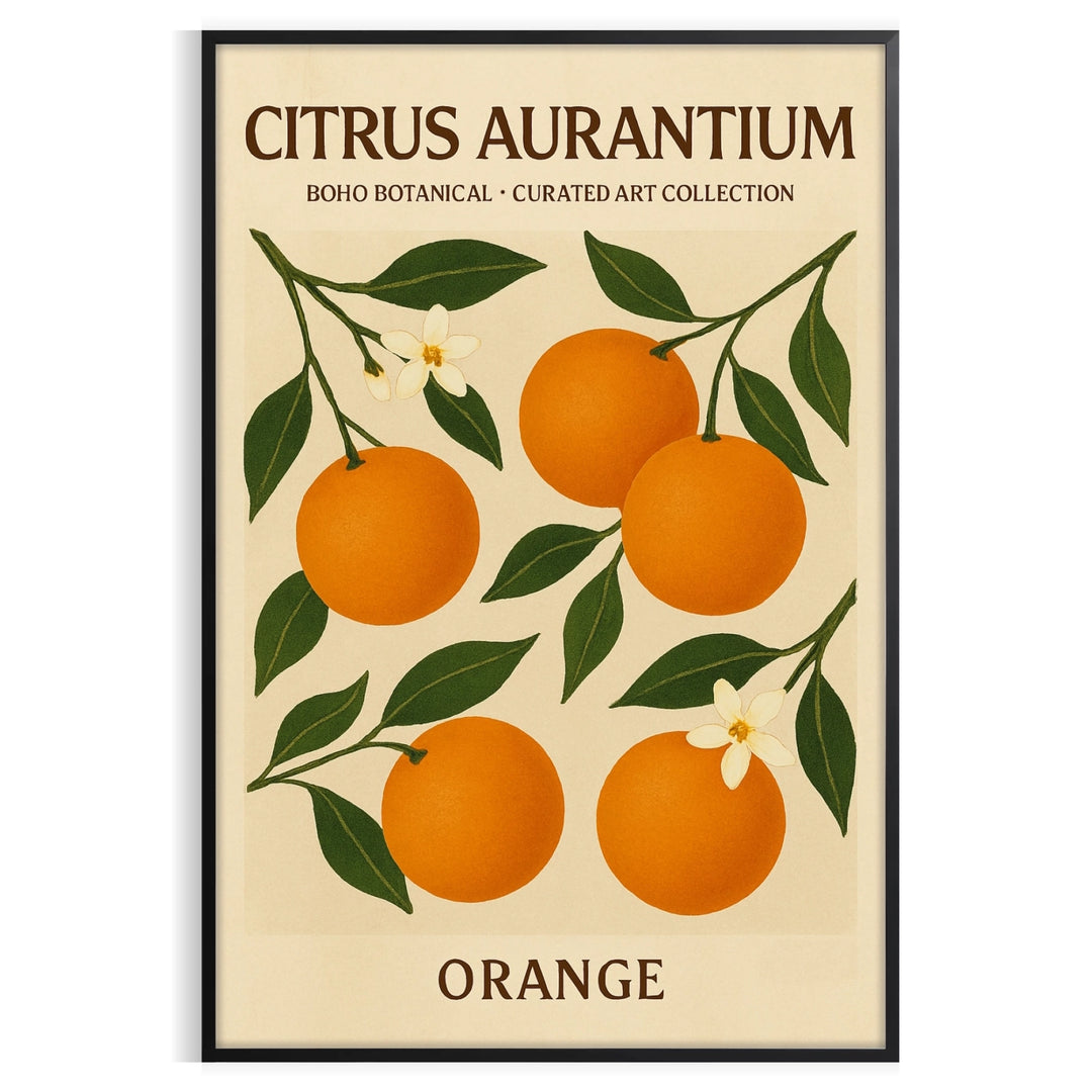 Vintage illustration of Citrus Aurantium with green leaves and orange fruit
