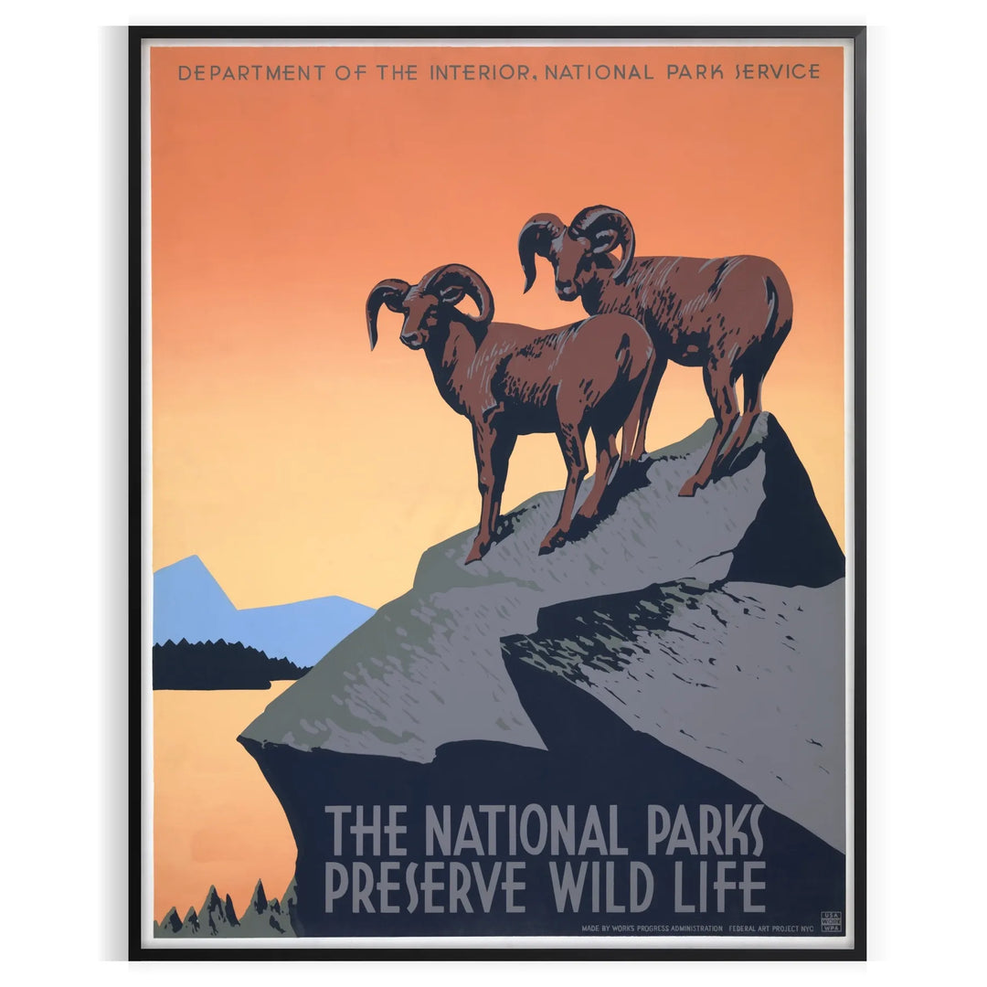 Stylized travel poster featuring an American national park with black and orange colors