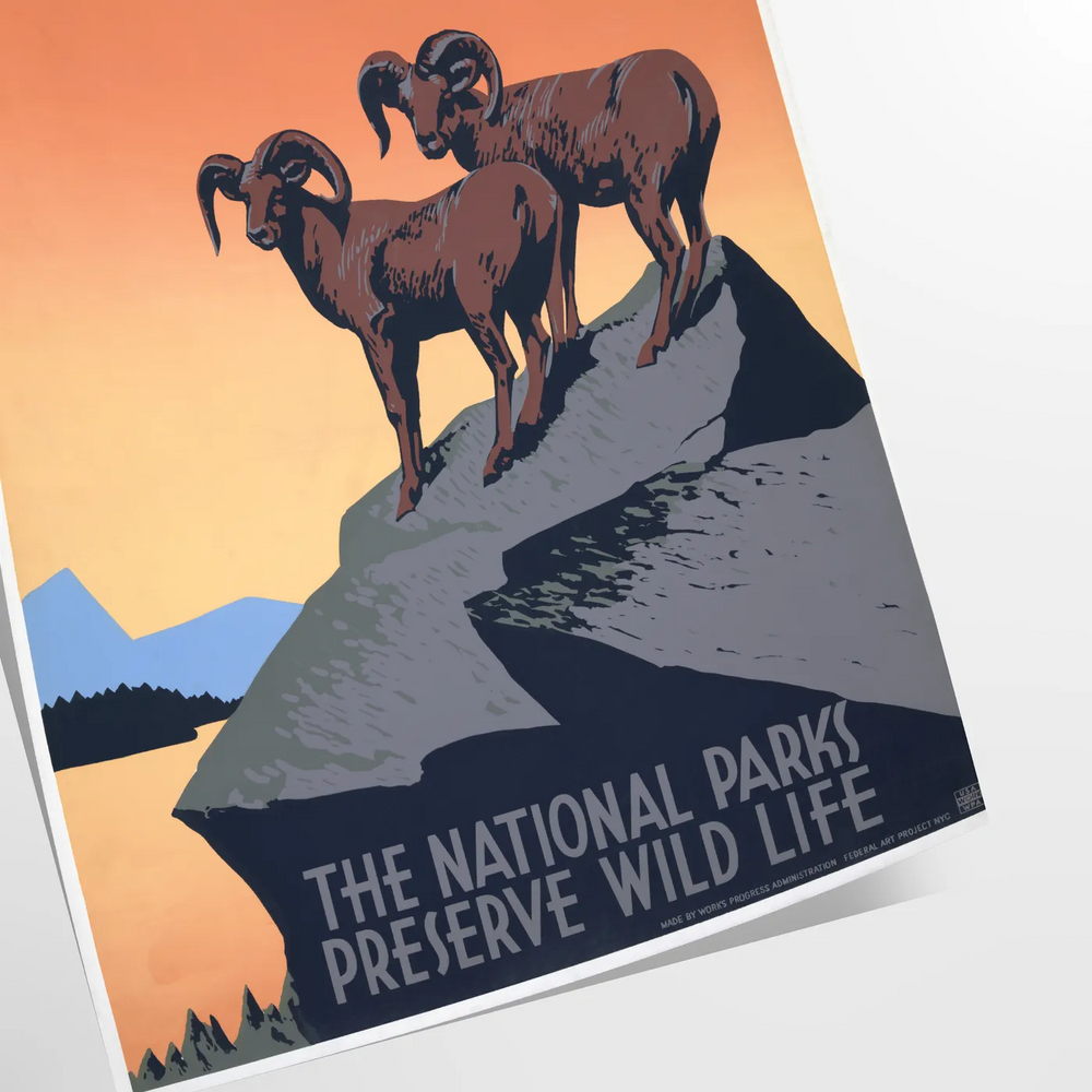 Stylized travel poster featuring an American national park with black and orange colors