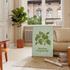 A serene yoga scene featuring calming green and gray tones with the phrase 'Be Kind To Yourself' - in a Parisian living room with a sofa and a fig plant