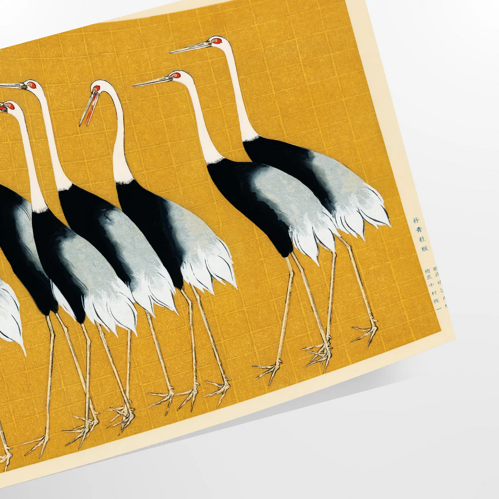 A detailed illustration of various birds in a natural setting, featuring green tones