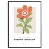 A close-up of colorful blossoms in shades of green and orange - in a black frame