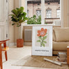 A close-up of colorful blossoms in shades of green and orange - in a Parisian living room with a sofa and a fig plant