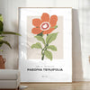 A close-up of colorful blossoms in shades of green and orange - in a bright minimalist room with a plant and an armchair