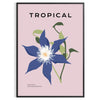 Illustrazione botanica con piante arancioni e grigie su uno sfondo testurizzato - in una cornice nera