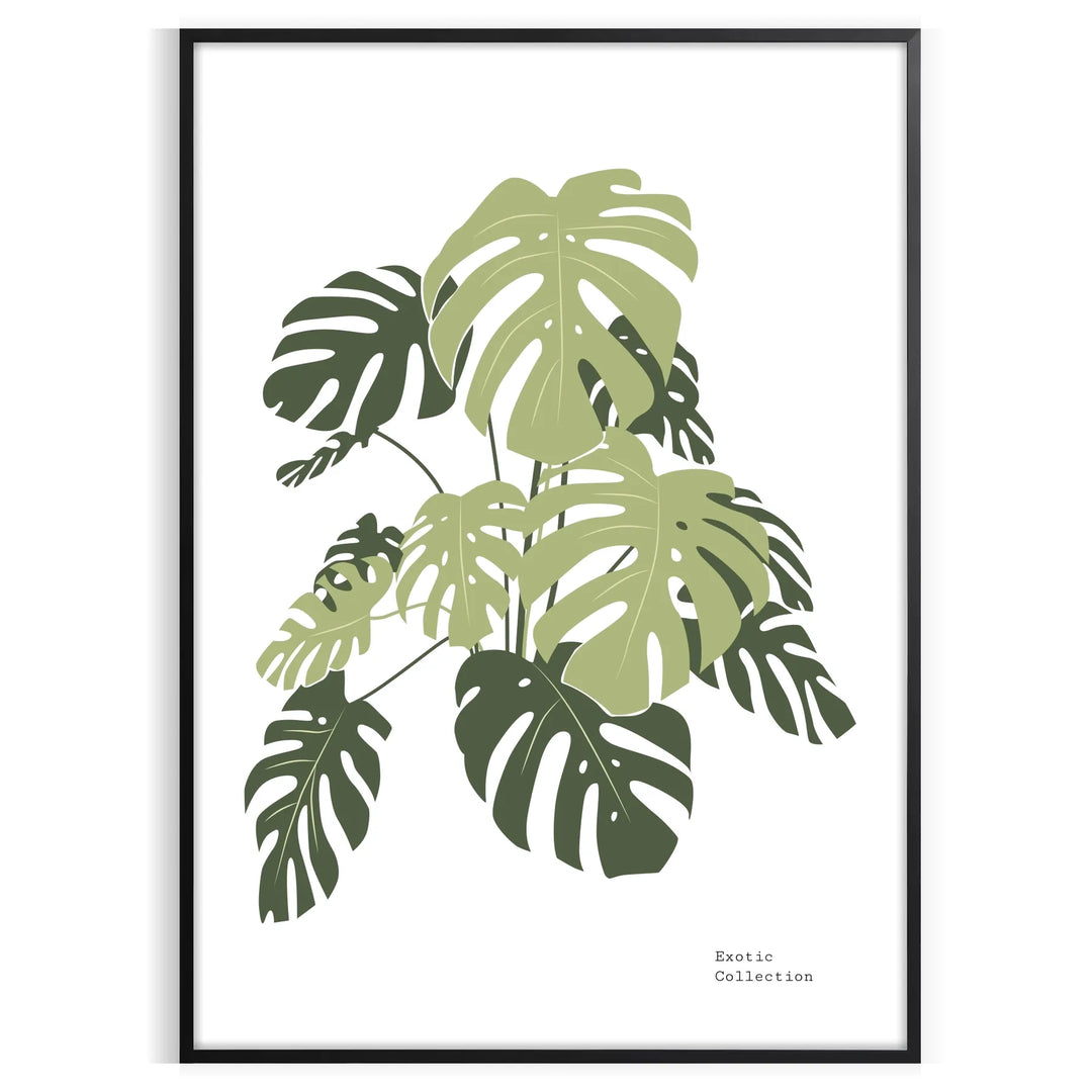 A detailed botanical illustration featuring lush green leaves on a white background