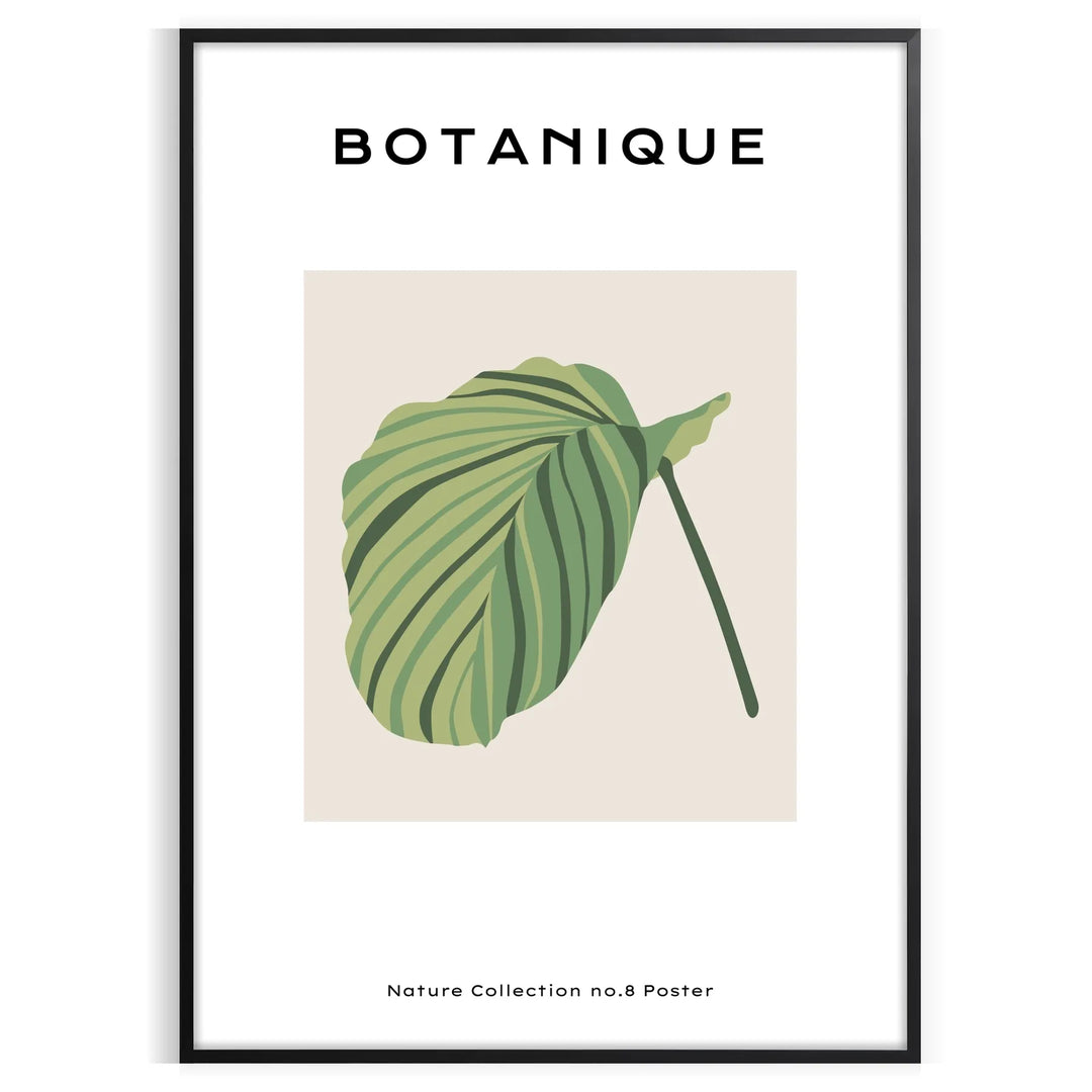 Vintage botanical illustration featuring green leaves and blue flowers