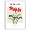 Illustrazione botanica vintage con piante arancioni e grigie - in una cornice nera