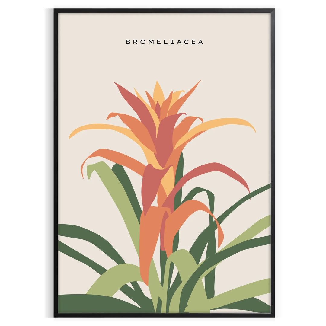 Vintage botanical illustration featuring orange and gray plants on a textured background