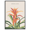 Ilustración botánica vintage con plantas naranjas y grises sobre un fondo texturizado - en un marco negro