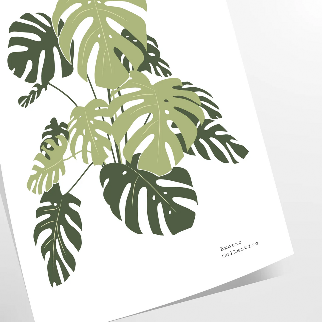Uma ilustração botânica detalhada com folhas verdes exuberantes em fundo branco