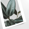 Vintage botanisches Foto mit üppigem grünem Laub vor einem ruhigen blauen Hintergrund - als gerollter Druck, ohne Rahmen