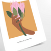 Botanical illustration featuring lush green leaves and vibrant orange flowers