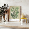 Vintage botanical illustration featuring various plants in gray and brown tones - styled on a counter with eucalyptus and a bowl of lemons