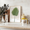 Vintage botanical illustration featuring orange and gray tones with detailed plant designs - styled on a counter with eucalyptus and a bowl of lemons