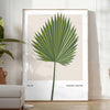 Vintage botanical illustration featuring orange and gray tones with detailed plant designs - in a bright minimalist room with a plant and an armchair