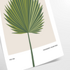 Vintage botanical illustration featuring orange and gray tones with detailed plant designs