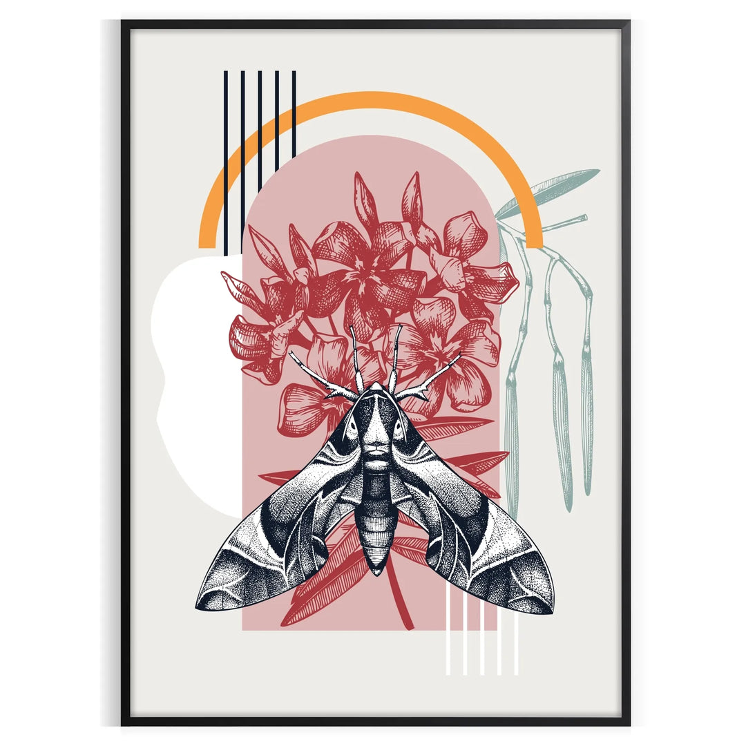 A black and orange butterfly illustration with intricate details
