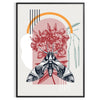 A black and orange butterfly illustration with intricate details - in a black frame