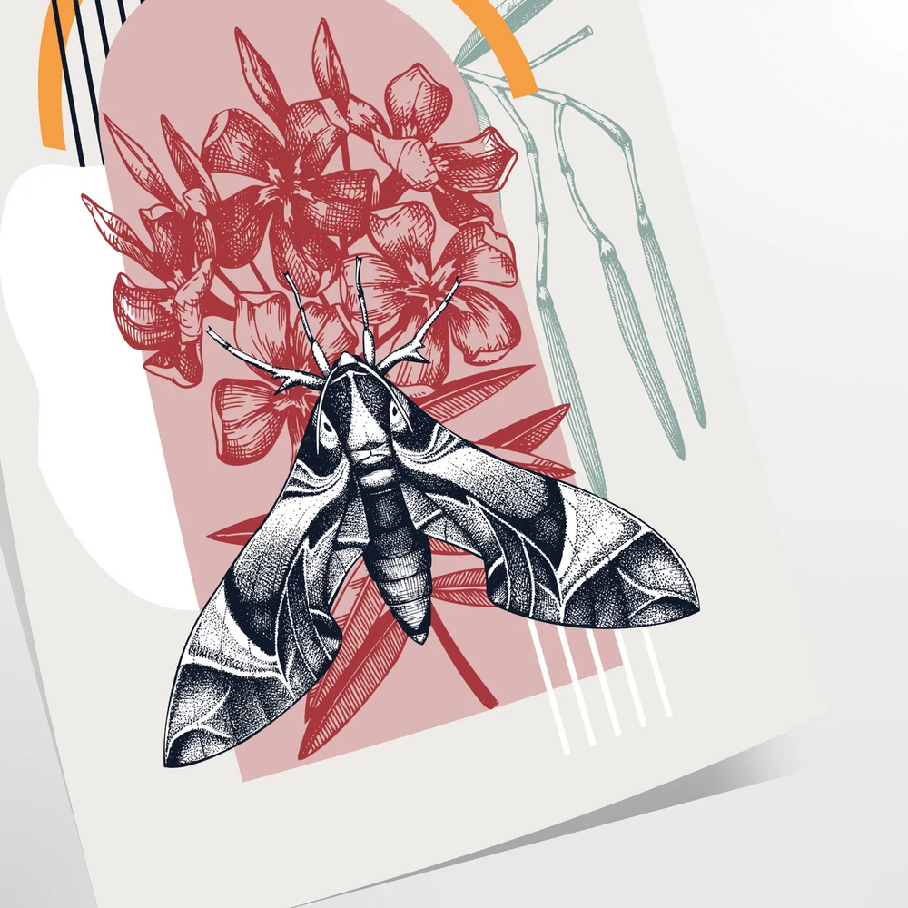 A black and orange butterfly illustration with intricate details