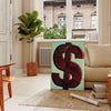 Pôster dinâmico preto e verde com sinais de dólar estilizados em um design moderno - numa sala parisiense com sofá e um ficus