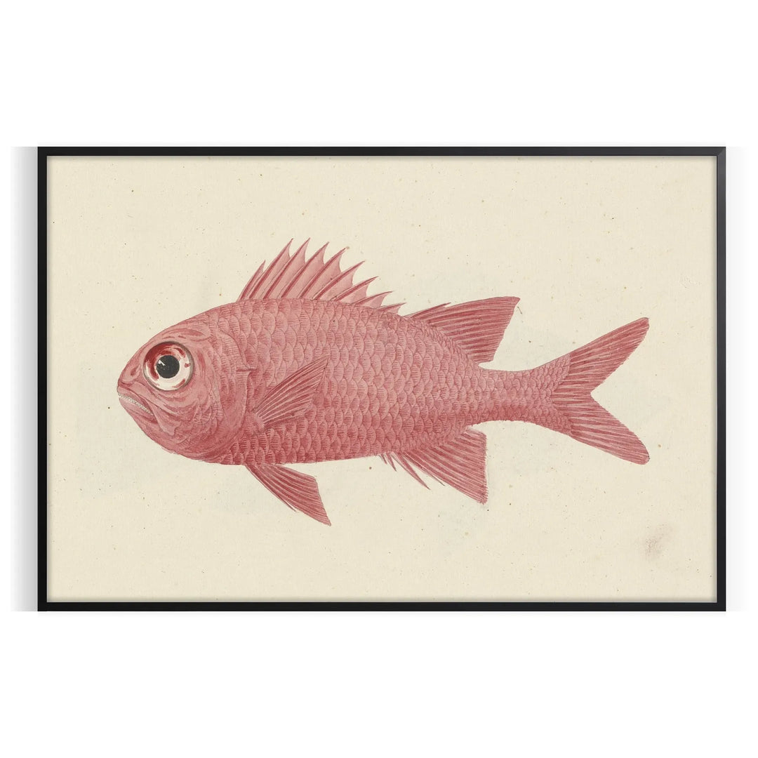 A colorful fish illustration with orange and gray tones on a textured background - in a black frame
