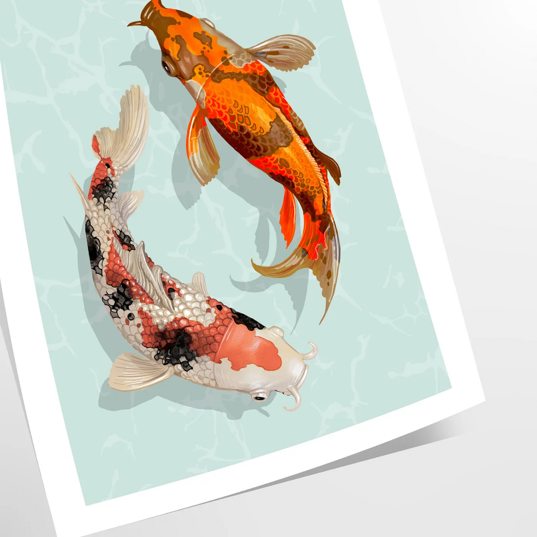 Detailed illustration of a black and green fish swimming in water - as a rolled, unframed print