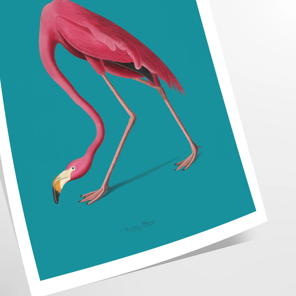 A pink flamingo standing gracefully against a soft blue background