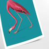 A pink flamingo standing gracefully against a soft blue background - as a rolled, unframed print