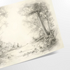 A serene forest field with rich orange and gray tones - as a rolled, unframed print