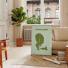 A serene yoga scene with a person practicing in calming green and gray tones - in a Parisian living room with a sofa and a fig plant