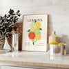 A colorful kitchen scene featuring various culinary tools and ingredients in orange and gray tones - styled on a counter with eucalyptus and a bowl of lemons