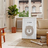 A realistic lion portrait in shades of gray and black - in a Parisian living room with a sofa and a fig plant