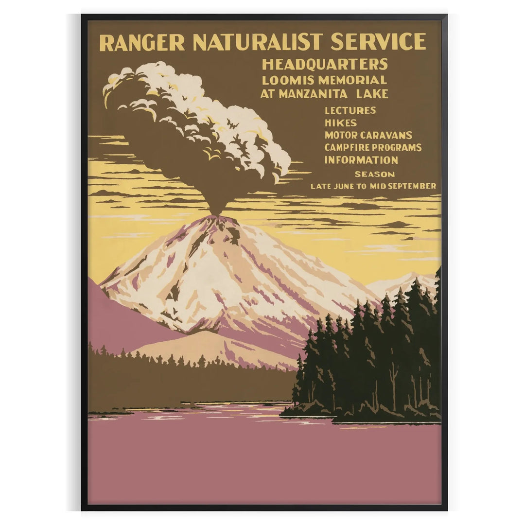 Illustration of a national park with mountains and trees in muted colors