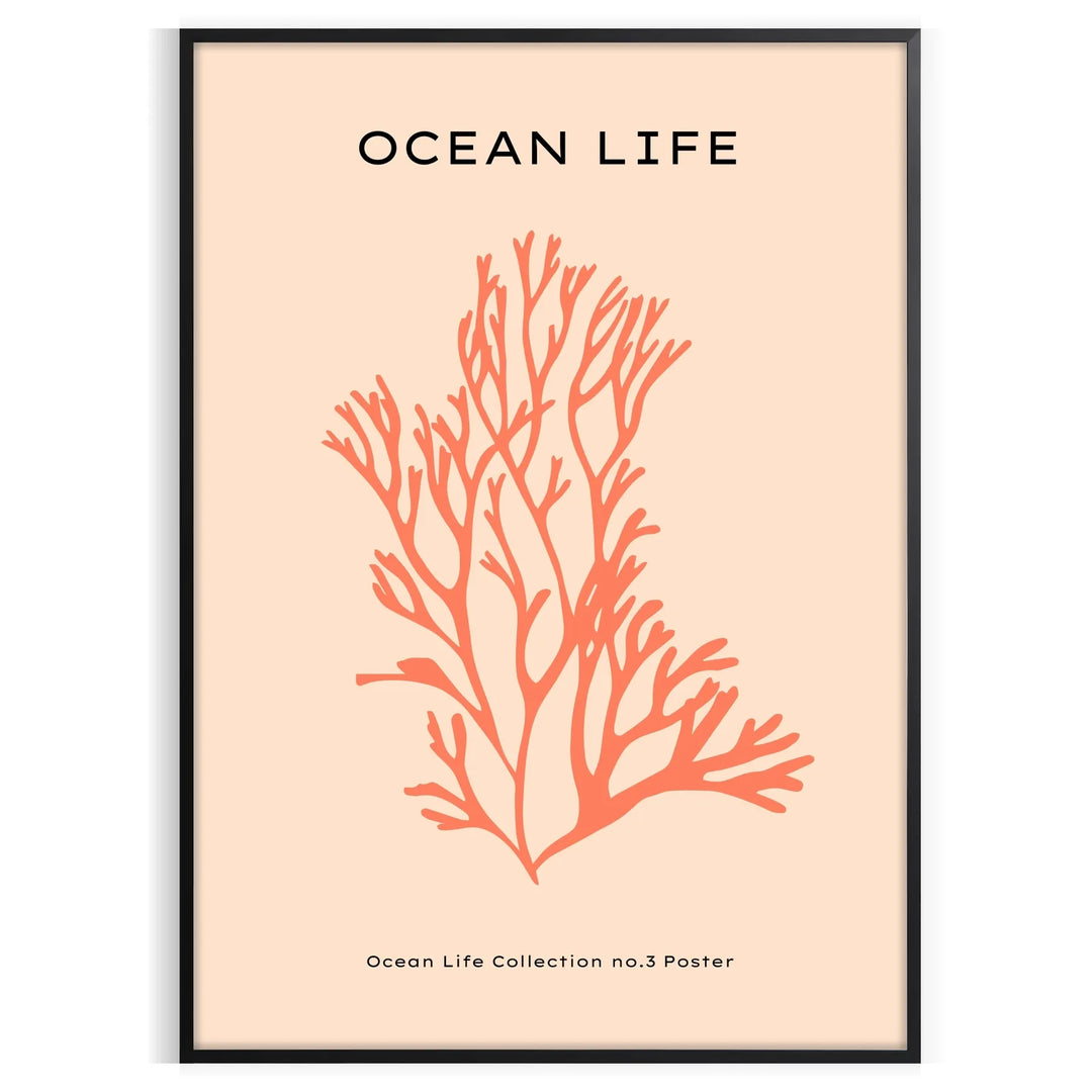 Illustration of various ocean animals in black and orange hues
