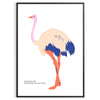 An abstract depiction of an ostrich with dynamic orange and blue hues - in a black frame