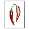 A detailed illustration of peppers in various colors on a textured background - in a black frame