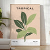 A botanical illustration featuring various green plants on a textured gray background - in a bright minimalist room with a plant and an armchair
