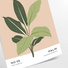 A botanical illustration featuring various green plants on a textured gray background