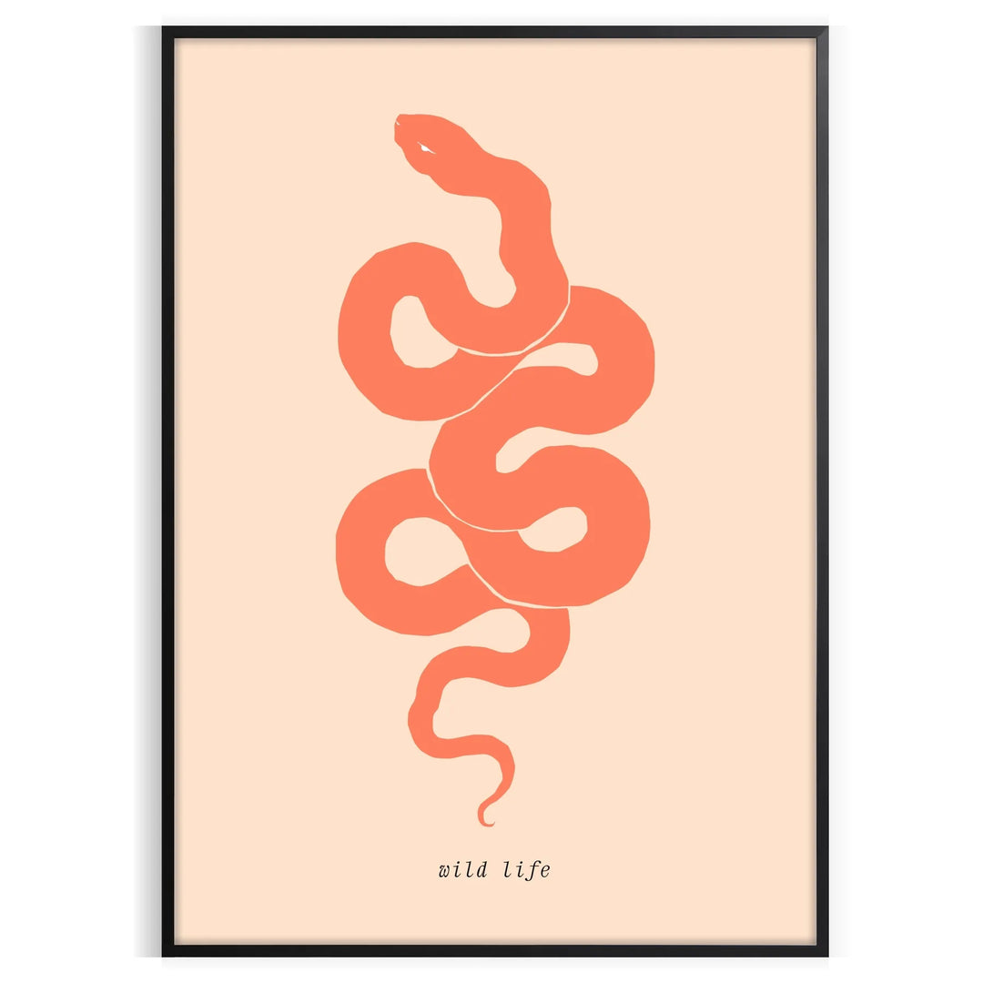 A snake coiled in shades of brown and orange against a dark background