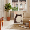 A frog with an unimpressed expression against a black and orange background - in a Parisian living room with a sofa and a fig plant