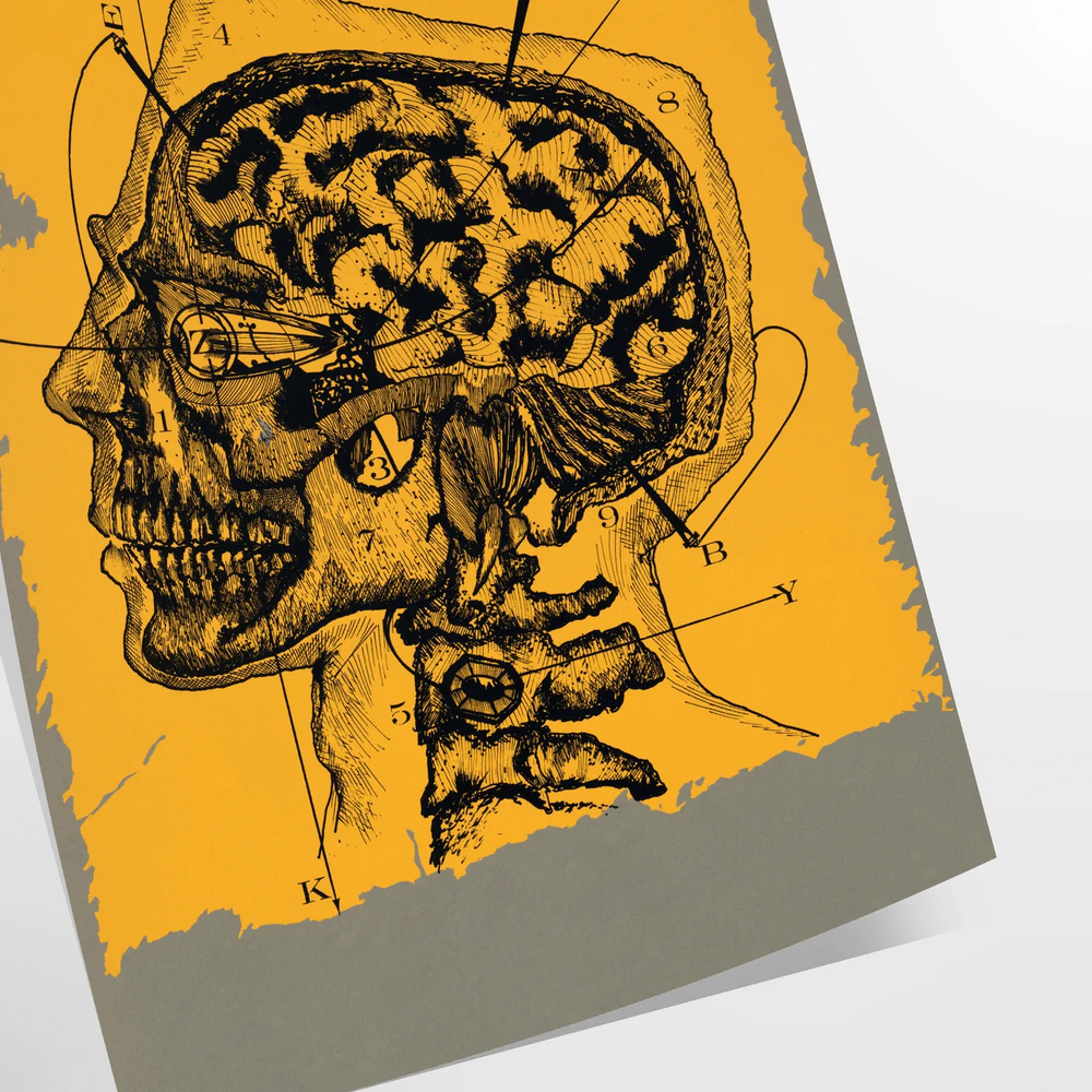 Vintage illustration of a human head in black and green tones