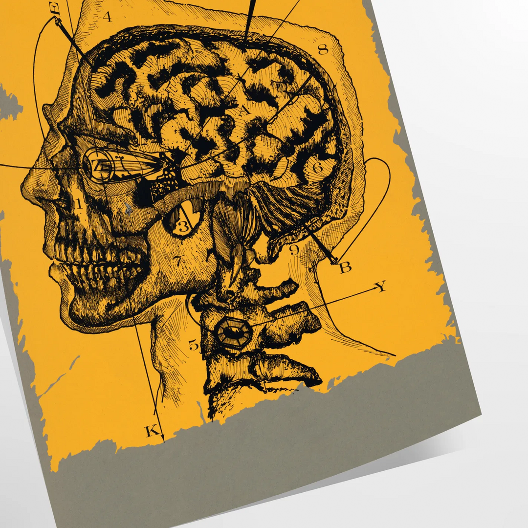 Vintage illustration of a human head in black and green tones - as a rolled, unframed print