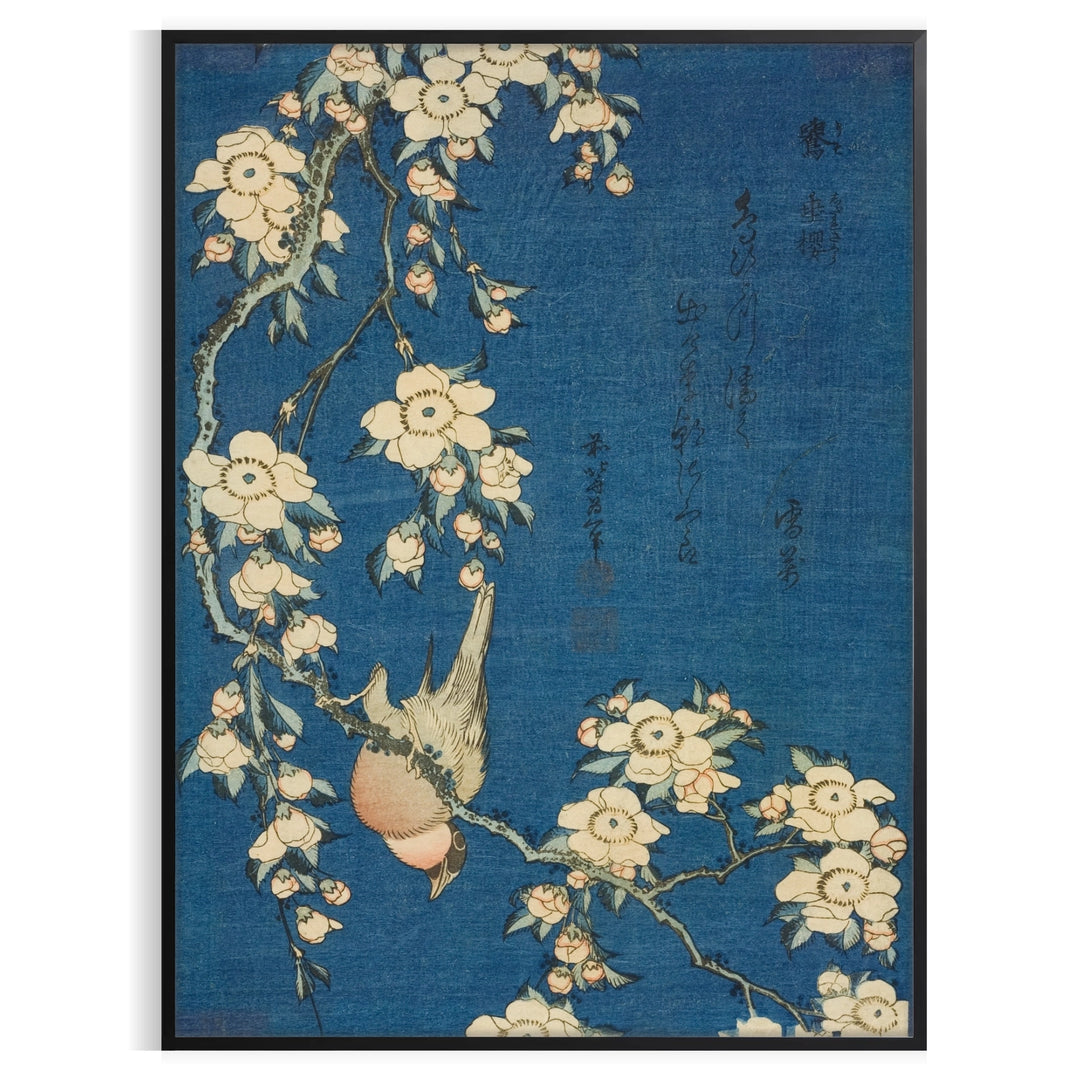 Poster showing Hokusai bullfinch and weeping cherry in blue and brown